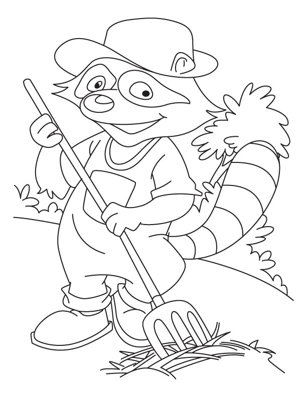 Kolorowanka Raccoon - Kreatywna Zabawa dla Dzieci kolorowanka do druku